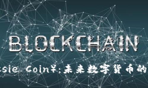 虚拟币ASS（Aussie Coin）：未来数字货币的潜力与风险分析