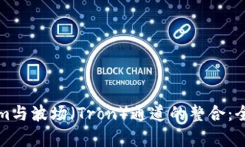 Tokenim与波场（Tron）通道的整合：全面解析