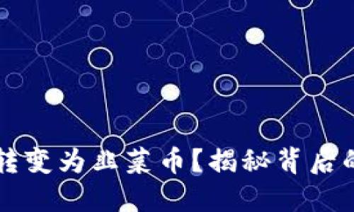 虚拟币如何转变为韭菜币？揭秘背后的风险与玩法