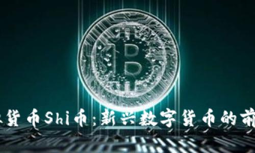 了解虚拟货币Shi币：新兴数字货币的前景与潜力