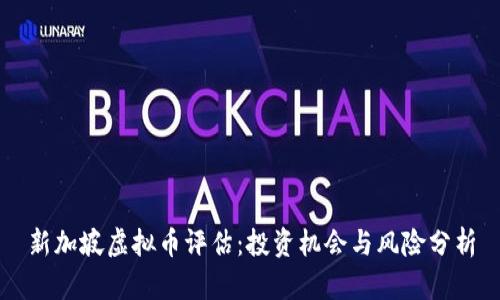 新加坡虚拟币评估：投资机会与风险分析