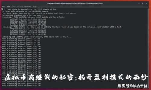 虚拟币商赚钱的秘密：揭开盈利模式的面纱