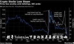 探寻Tokenim下架的深层原因及影响