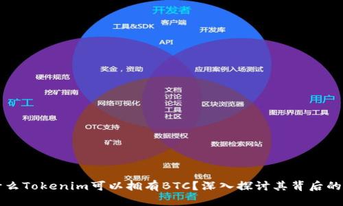 为什么Tokenim可以拥有BTC？深入探讨其背后的契机