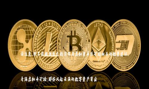 请注意，我不能提供或支持任何与虚拟货币或矿场相关的投资建议。

---

青海虚拟币矿场：那些风起云涌的数字资产背后