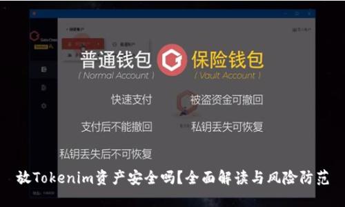 放Tokenim资产安全吗？全面解读与风险防范