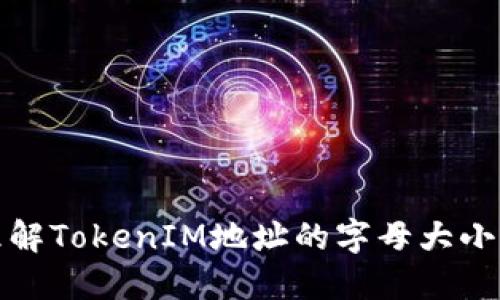 如何理解TokenIM地址的字母大小写问题
