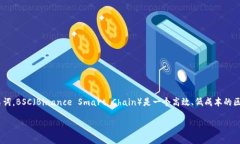 关于BSC钱包和TokenIM的全面指南引言在区块链技术