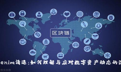 Tokenim清退：如何理解与应对数字资产动态的洗礼