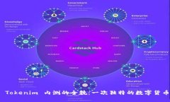 探索 Tokenim 内测的全貌：一次独特的数字货币体