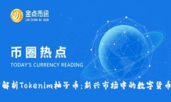 深度解析Tokenim柚子币：新兴市场中的数字货币之
