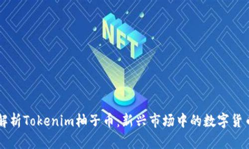 深度解析Tokenim柚子币：新兴市场中的数字货币之星