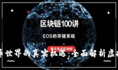 发现虚拟币世界的真实机遇：全面解析虚拟币信