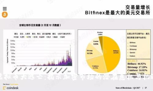 虚拟币大逃亡：揭示加密市场的潜在危机与机遇