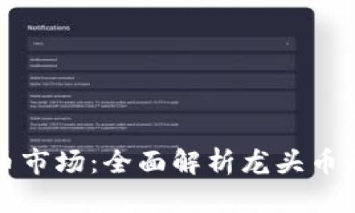 探索虚拟币市场：全面解析龙头币的投资玩法