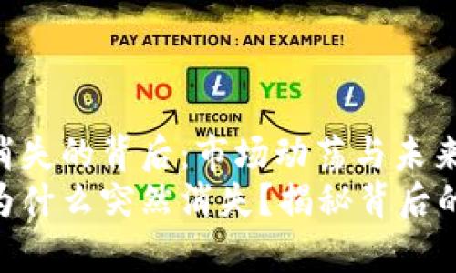 Tokenim币消失的背后：市场动荡与未来展望
Tokenim币为什么突然消失？揭秘背后的真相与前景