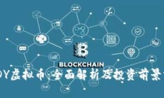 DXDY虚拟币：全面解析及投资前景分析