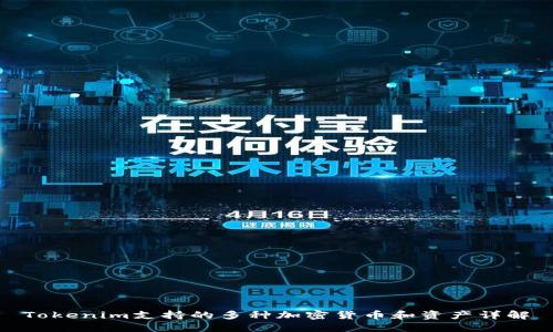 Tokenim支持的多种加密货币和资产详解