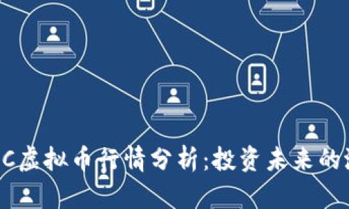 2023年AAC虚拟币行情分析：投资未来的潜力与挑战