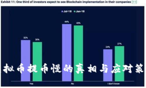 虚拟币提币慢的真相与应对策略