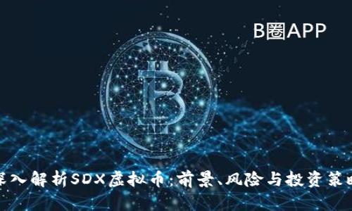 深入解析SDX虚拟币：前景、风险与投资策略