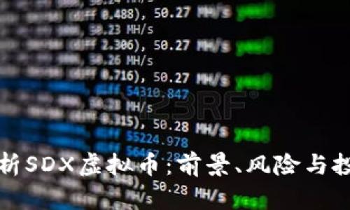 深入解析SDX虚拟币：前景、风险与投资策略