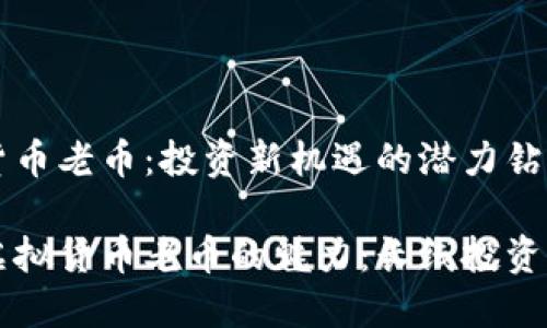 虚拟货币老币：投资新机遇的潜力钻石

揭示虚拟货币老币的魅力：长线投资的新星