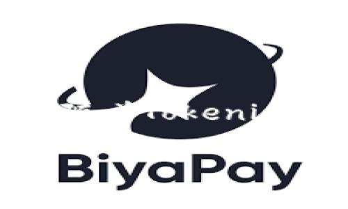 了解Tokenim币币兑换的市场现状

在当今数字货币的世界中，币币兑换正在成为越来越多投资者和交易者的重要手段。在这个过程中，Tokenim作为一种新兴数字资产，其币币兑换的费用引发了不少人的关注。你可能会想，为什么Tokenim币币兑换的费用如此昂贵？这背后涉及到多个因素，包括市场需求、流动性、交易所的费率等。

为何Tokenim币币兑换的费用较高

首先，市场需求是一个不可忽视的因素。当某一种数字资产被广泛接受和使用时，该资产的需求量自然会增加，从而推高其价格及兑换成本。Tokenim作为一种新兴的数字货币，其市场需求尚处于发展阶段，尽管吸引了不少早期投资者，但仍旧受到整体市场状况的影响。

其次，流动性。流动性指的是在市场上买卖某一资产的便利程度。Tokenim的流动性如果不足，意味着在交易过程中可能会遇到较严重的滑点现象，从而导致兑换费用的增加。当市场深度不够时，交易者需要支付更高的费用以促成交易，进一步提高了币币兑换的成本。

最后，各大交易所的费率也是影响Tokenim币币兑换费用的重要因素。不同的交易所对不同币种收取的交易费用可能差异很大，选择高费用的交易所进行兑换时，自然会感受到负担。同时，交易所的运营成本、技术维护以及其他费用都可能被转嫁到用户身上。

如何降低Tokenim币币兑换的费用

对于许多用户来说，降低兑换费用是一个迫切的需求。那么，有哪些策略可以帮助用户降低Tokenim币币兑换的费用呢？

首先，选择合适的交易平台是关键。通过对比多个交易所的费率和用户评价，选择那些提供较低交易费用、良好流动性和服务体验的交易平台，可以有效降低兑换成本。

其次，关注时机。在市场波动较小的时段进行兑换，可以降低遇到滑点的几率，从而减少交易成本。定期查看市场走势，并选择在合适的时点进行兑换，能够帮助你实现最优的兑换效果。

此外，参与一些优惠活动也是一种降低费用的方式。很多交易所会不定期推出手续费减免活动，或者针对特定交易对进行手续费返还。及时关注这些活动，能够为你节省不少交易费用。

Tokenim的未来展望

尽管目前Tokenim币币兑换的费用较高，但随着市场的发展和技术的进步，未来Tokenim的交易费用有望逐步降低。新技术的应用、市场用户的增加以及流动性的提升，都是Tokenim未来发展的潜力所在。

当然，作为投资者，了解Tokenim背后的技术和团队也是非常重要的。在选择投资数字货币时，不光要关注价格和交易费用，更要看清楚其所代表的价值与安全性。

相关问题一：如何选择适合的交易所进行Tokenim兑换？

选择合适的交易所是每位数字货币投资者都需要考虑的重要问题。以下是一些在选择交易所时可以参考的要点：

ul
    listrong费率：/strong不同交易所的交易手续费、提现费用等都可能不同，尽量选择那些费率透明和相对低的交易所。/li
    listrong流动性：/strong流动性好的市场更容易完成大额交易而不产生额外的费用。在选择时要检查交易量。/li
    listrong安全性：/strong安全是交易所最重要的考量因素之一。查阅有关交易所的安全历史和用户评价，确保其具备良好的安全性和信任度。/li
    listrong用户体验：/strong友好的用户界面和高效的客户服务能够为用户提供更加顺畅的交易体验。/li
/ul

相关问题二：Tokenim的投资风险与回报是什么？

如同所有投资，Tokenim的投资也伴随着风险与回报。让我们来谈谈这其中的几方面：

strong投资风险：/strong数字货币市场波动极大，Tokenim也不例外。投资者需要承受价格起伏带来的损失风险。同时，由于Tokenim尚处于发展阶段，面临技术、市场及法律等多重不确定因素，投资者需要认真评估自身的风险承受能力。

strong回报潜力：/strong虽然风险很高，但数字货币的涨幅也常常惊人。如果Tokenim成功得到市场认可，其价值有可能在短时间内实现大幅上涨，为投资者带来可观的收益。同时，Tokenim的创新技术和战略布局可能为其未来的发展提供更多机遇。

在做出投资决策之前，务必做好充分的市场调研，理解Tokenim的基本面、技术面，结合自身的风险承受能力，做出明智的选择。

总结

Tokenim币币兑换的费用较高是当前市场状况和多种因素共同造成的，但通过合理选择交易所、把握时机以及关注优惠活动等方式，用户依旧可以有效降低兑换费用。未来，随着Tokenim的发展及市场环境的变化，其费用也有可能逐步得到改善。此外，投资Tokenim需审慎评估风险与回报，以便在这个充满机遇与挑战的数字货币世界中找到属于自己的位置。

探究Tokenim币币兑换高费用的原因及解决方案