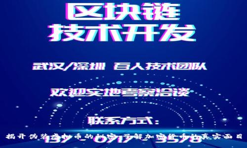 揭开伪装虚拟币的秘密：了解加密货币的真实面目