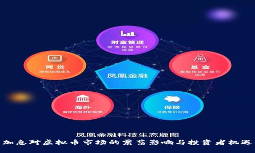 加息对虚拟币市场的震荡影响与投资者机遇
