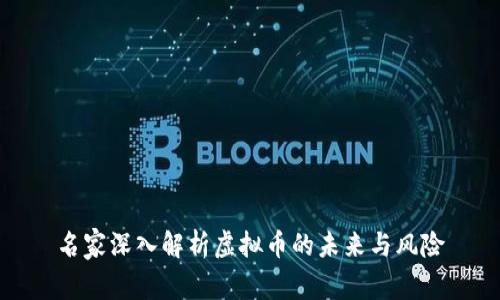 名家深入解析虚拟币的未来与风险