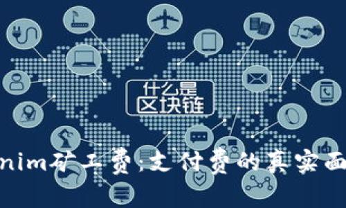 探秘Tokenim矿工费：支付费的真实面貌与影响