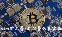 探秘Tokenim矿工费：支付费的真实面貌与影响