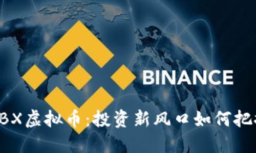揭秘ZBX虚拟币：投资新风口如何把握机会