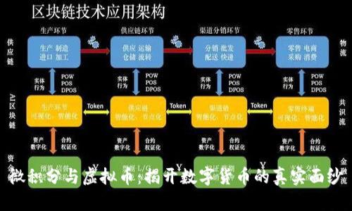 微积分与虚拟币：揭开数字货币的真实面纱