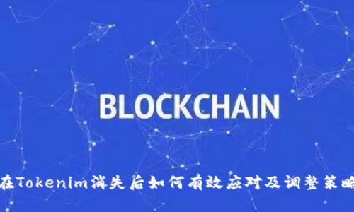 在Tokenim消失后如何有效应对及调整策略