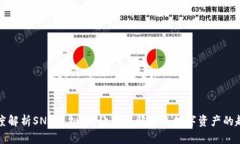 深度解析SNA虚拟币：让你了解未来数字资产的趋