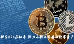 探索BRC虚拟币：潜力与挑战并存的数字资产