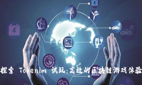探索 Tokenim 试玩：高效的区块链游戏体验