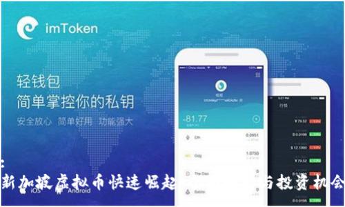 :
新加坡虚拟币快速崛起：全面解析与投资机会