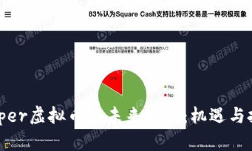 Zipper虚拟币的未来发展：机遇与挑战