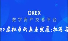 Zipper虚拟币的未来发展：机遇与挑战