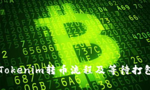 简单易懂的Tokenim转币流程及等待打包的注意事项