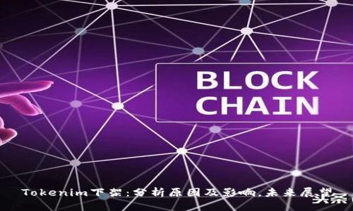 Tokenim下架：分析原因及影响，未来展望