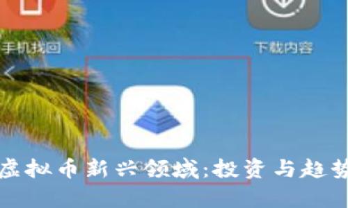 探索虚拟币新兴领域：投资与趋势解析