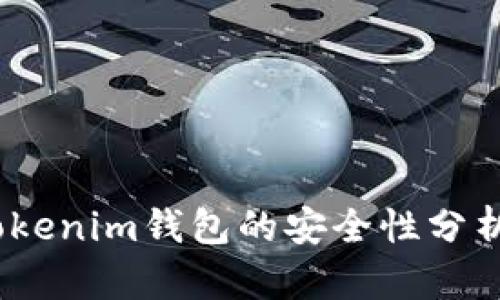 全面解析：Tokenim钱包的安全性分析与用户指南