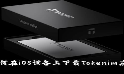 如何在iOS设备上下载Tokenim应用