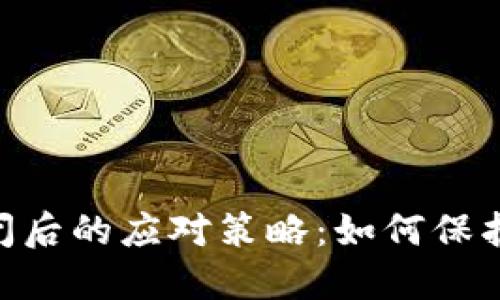 : Tokenim倒闭后的应对策略：如何保护你的数字资产