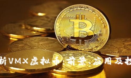 深度解析VMX虚拟币：前景、应用及投资价值