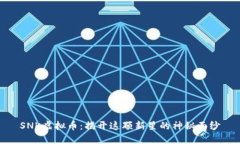 SNK虚拟币：揭开这颗新星的神秘面纱
